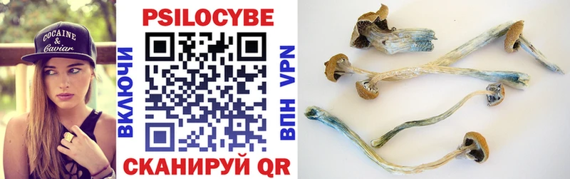 Псилоцибиновые грибы Psilocybine cubensis  Купить где  Апрелевка 